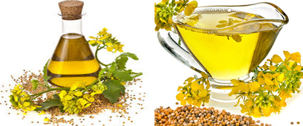 rapeseed oil 