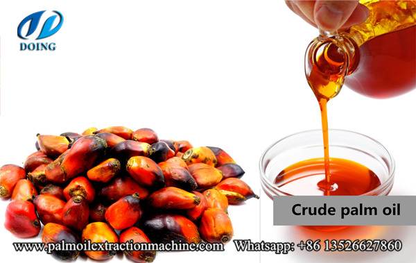 crude red palm oil 