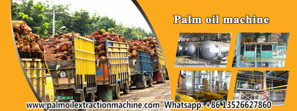 palm oil production machine 