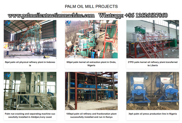 palm oil extraction machine 