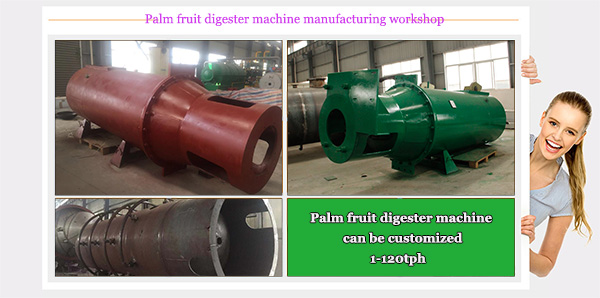 palm fruit digseter machine 
