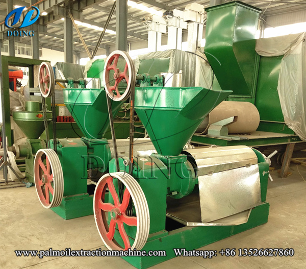 palm kernel oil expeller 