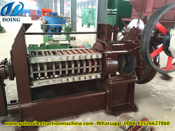 palm kernel oil expeller 