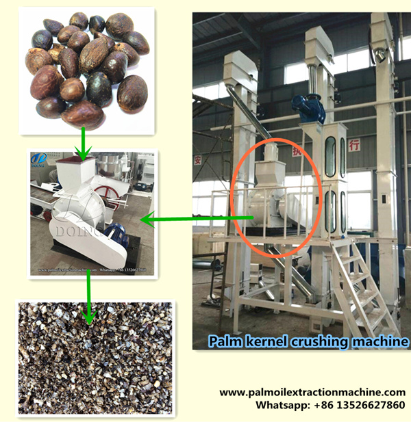 palm kernel crushing machine 