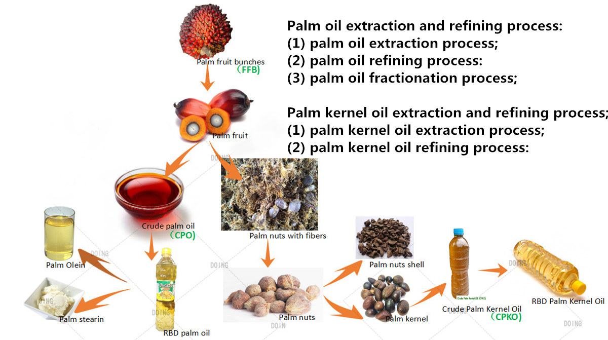What is palm kernel oil? How to make palm kernel oil, refined palm