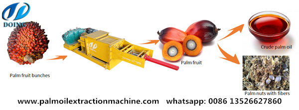 palm fruit oilpressing machine 