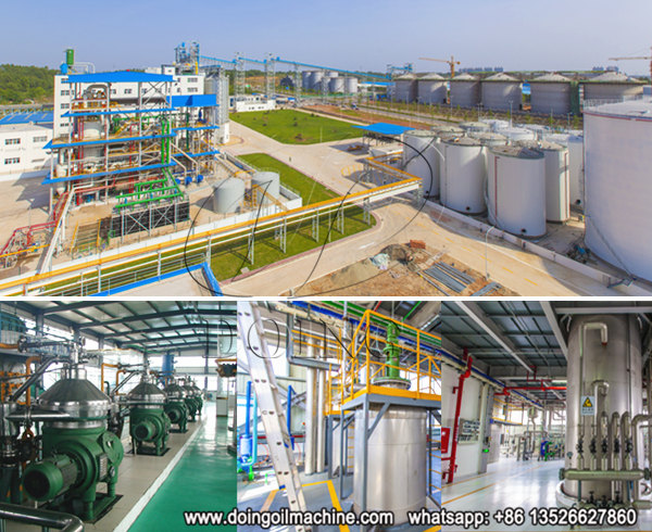 palm oil refining machine 