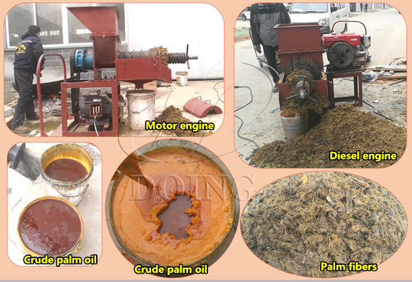 palm oil expeller machine 