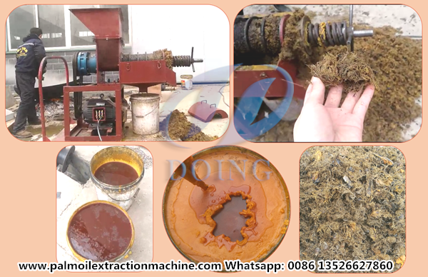 palm oil expeller machine 