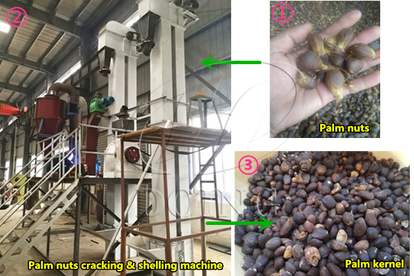 palm kernel oil processing machine 