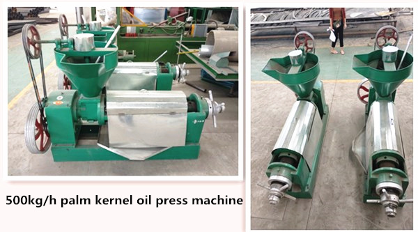 palm kernel oil expeller machine 