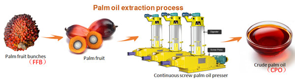 palm oil press machine 