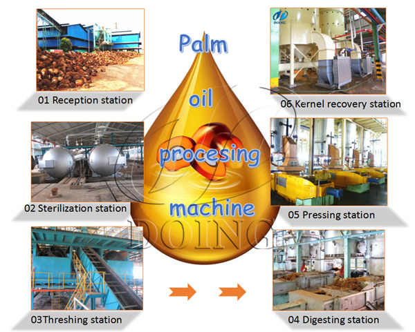 palm oil production process