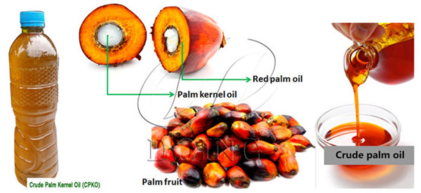 How many tons palm kernels are needed to produce 1 ton palm kernel