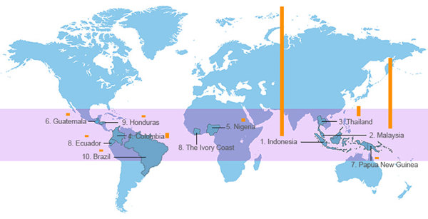 top palm oil producing countries