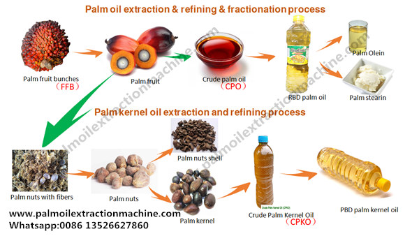palm oil processing business 