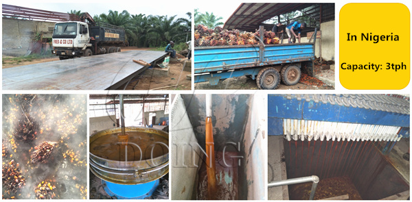 palm oil processing machine 