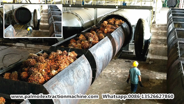 palm oil mill process 