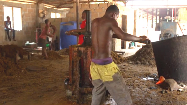 local palm oil processing machine