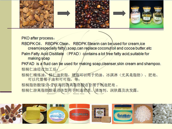 palm kernel oil processing business