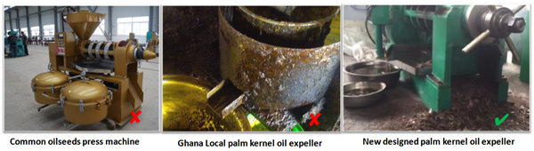 palm kernel oil expeller 