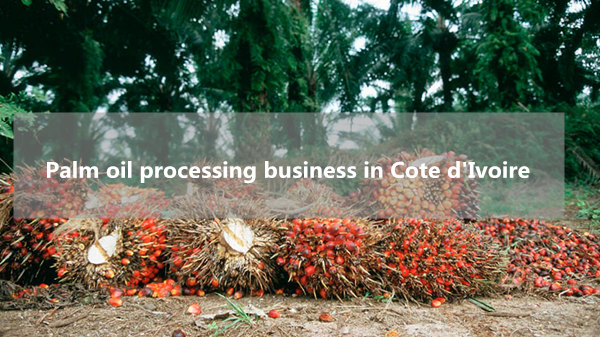 palm oil processing business