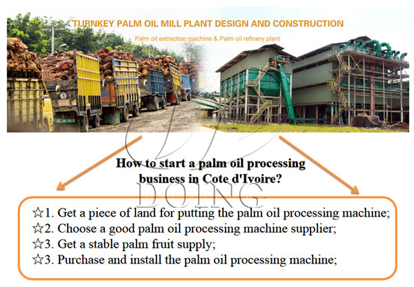 palm oil processing business