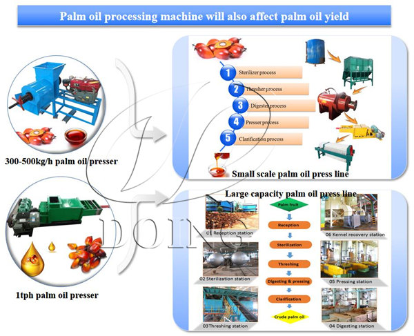 palm oil processing machine 