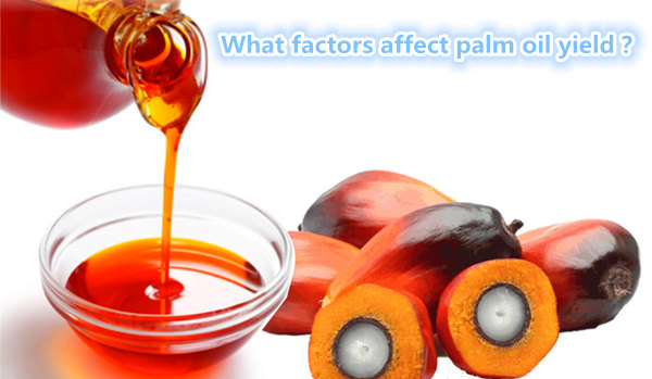 palm oil processing process