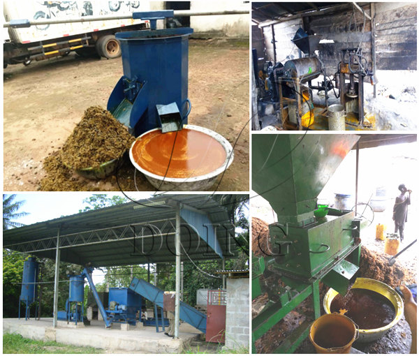 palm oil processing machine 