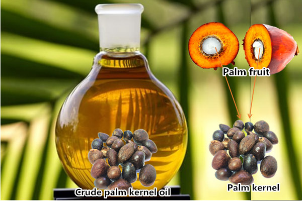 palm kernel oil