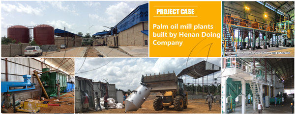 palm oil mill plant 