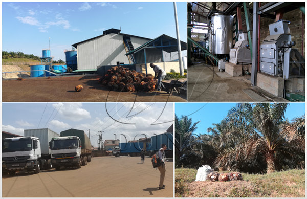 palm oil processing machine 