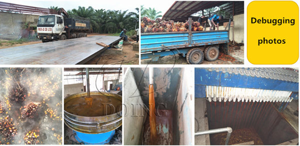 palm oil processing machine 