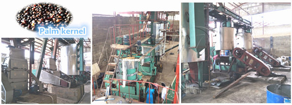 palm kernel oil processing machine 