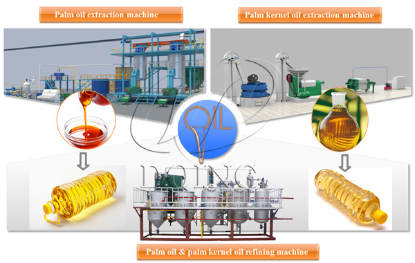 palm oil processing plant 