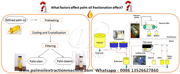 palm oil fractionation process 