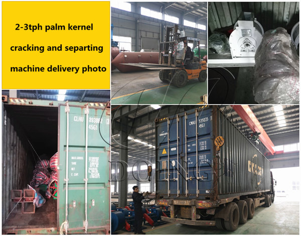 palm kernel cracking and separating machine 