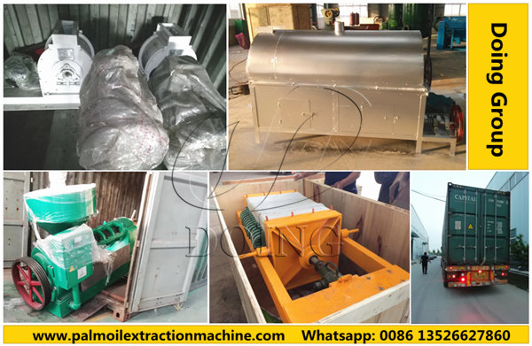 palm kernel oil making machine