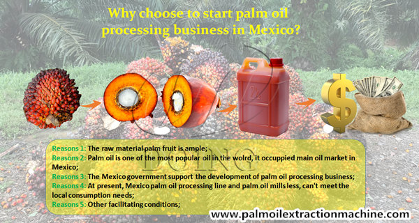 palm oil processing business 