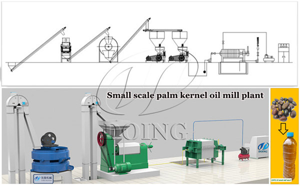 palm kernel oil extraction machine 