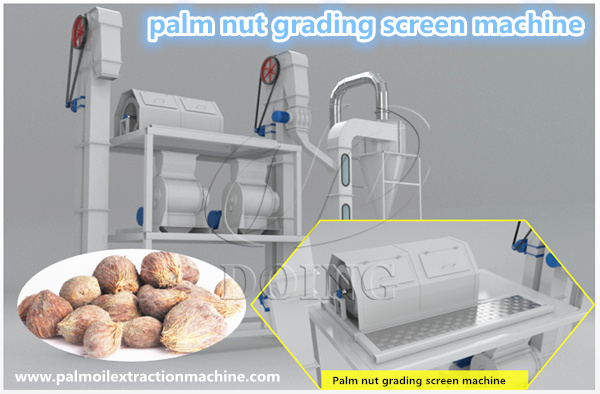 palm nut grading screen machine