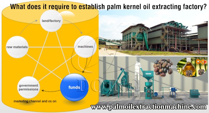 palm kernel oil extracting machine 