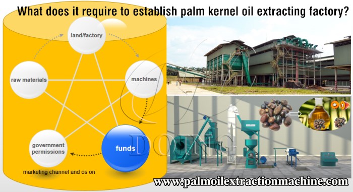 How to Start a Palm Kernel Oil Extraction Company_Palm Oil Extraction FAQ