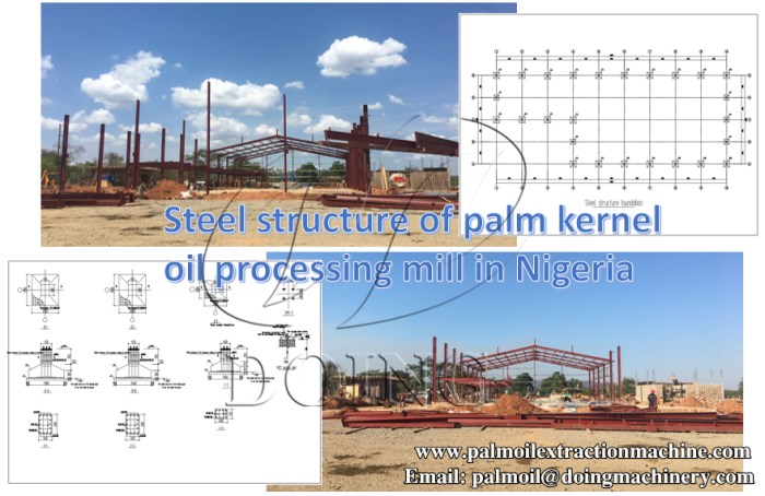 palm kernle oil extracting machine 