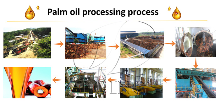 palm oil processing machine 