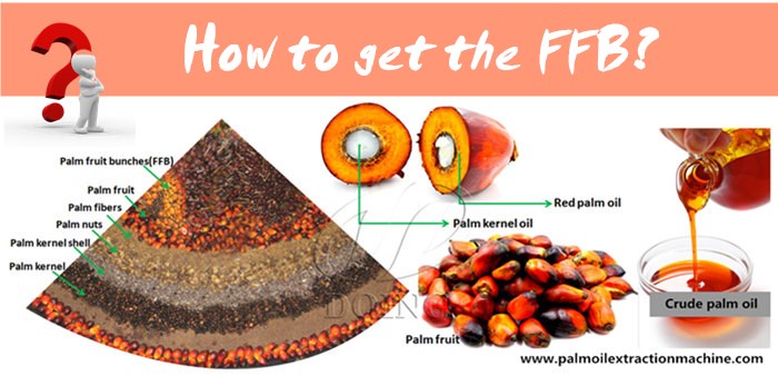 palm oil processing machine 