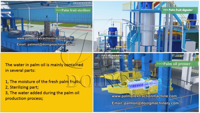 palm oil production process