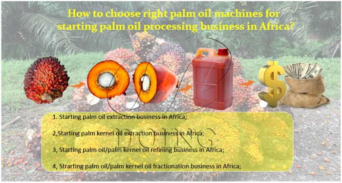 palm oil processing business