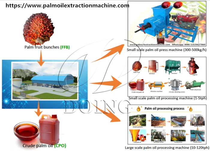 palm oil extraction machine 